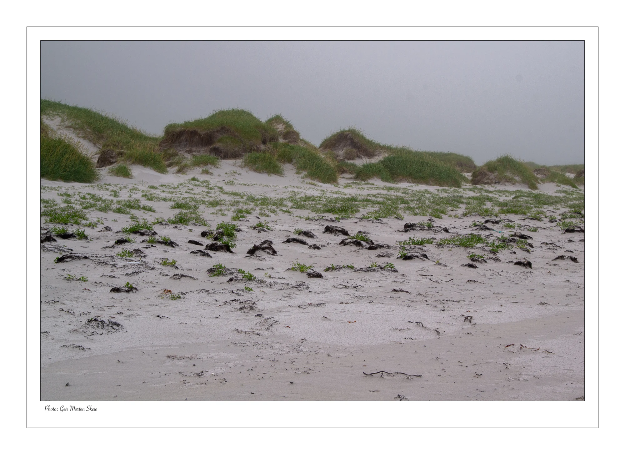 fin_sand_andoya