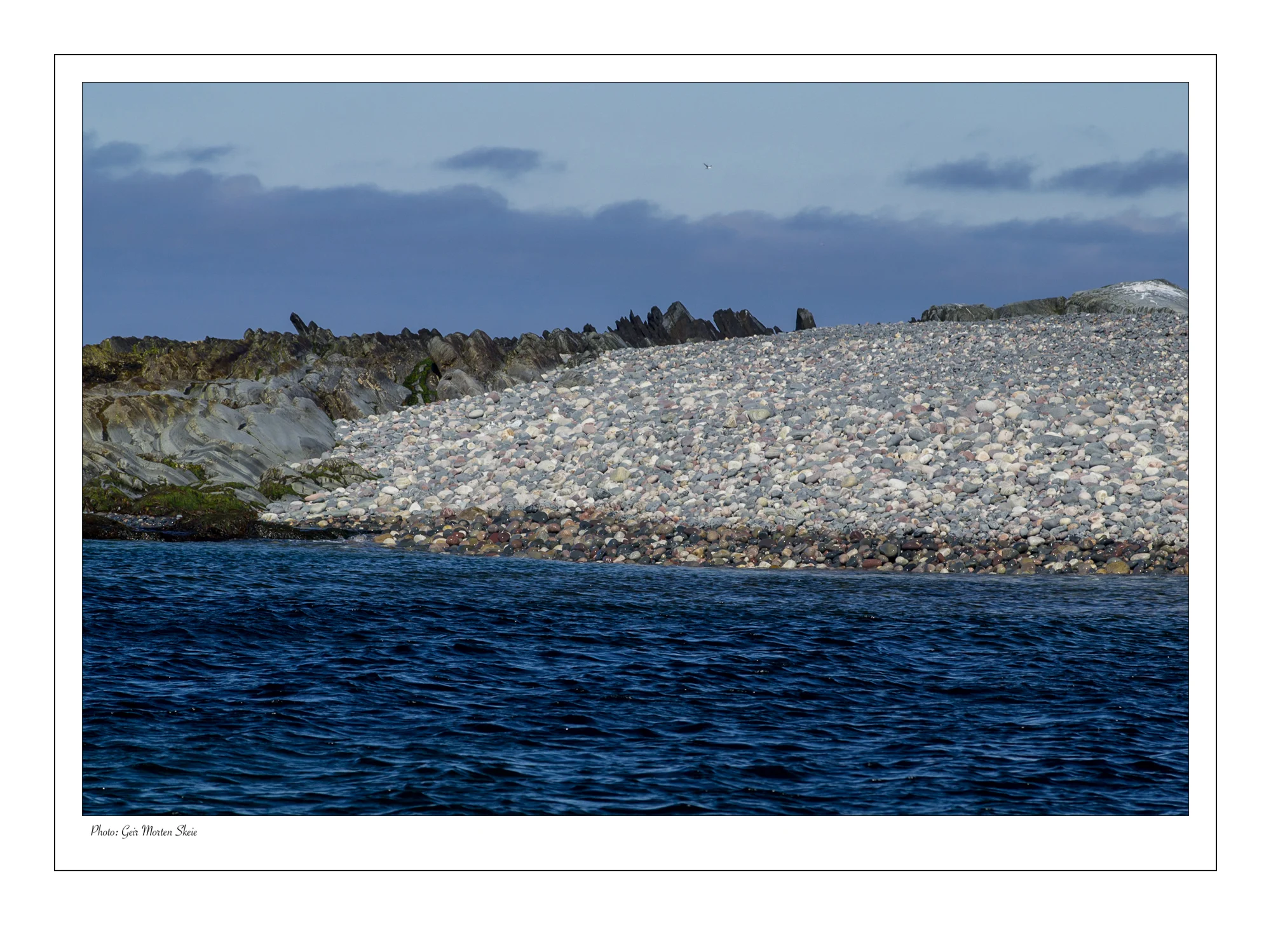 stein_grovgros_kongsfjord